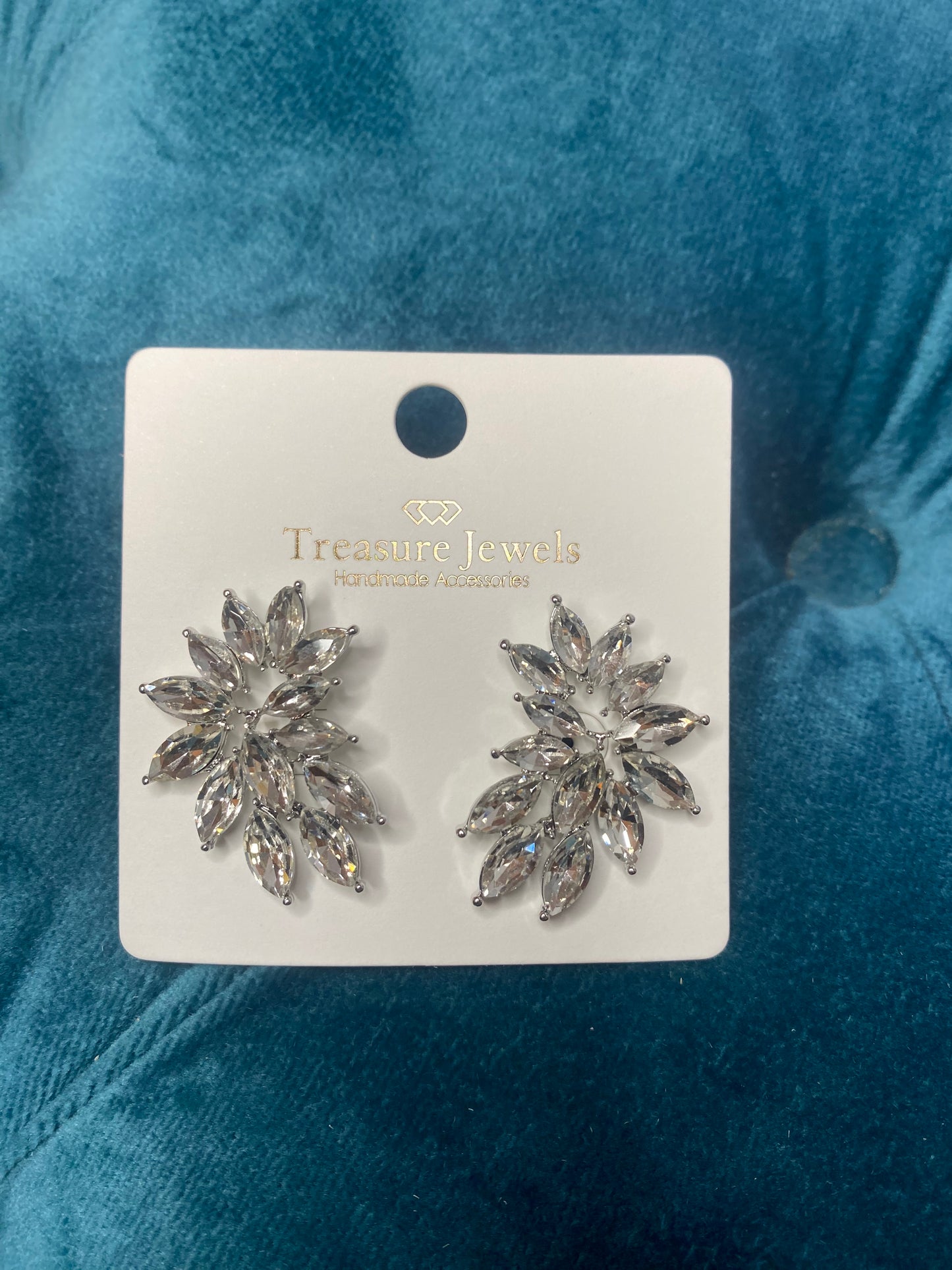 Dress Up Earrings